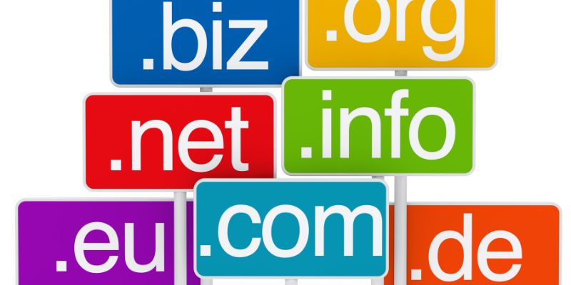 Domain Name- How to Build a WordPress Website